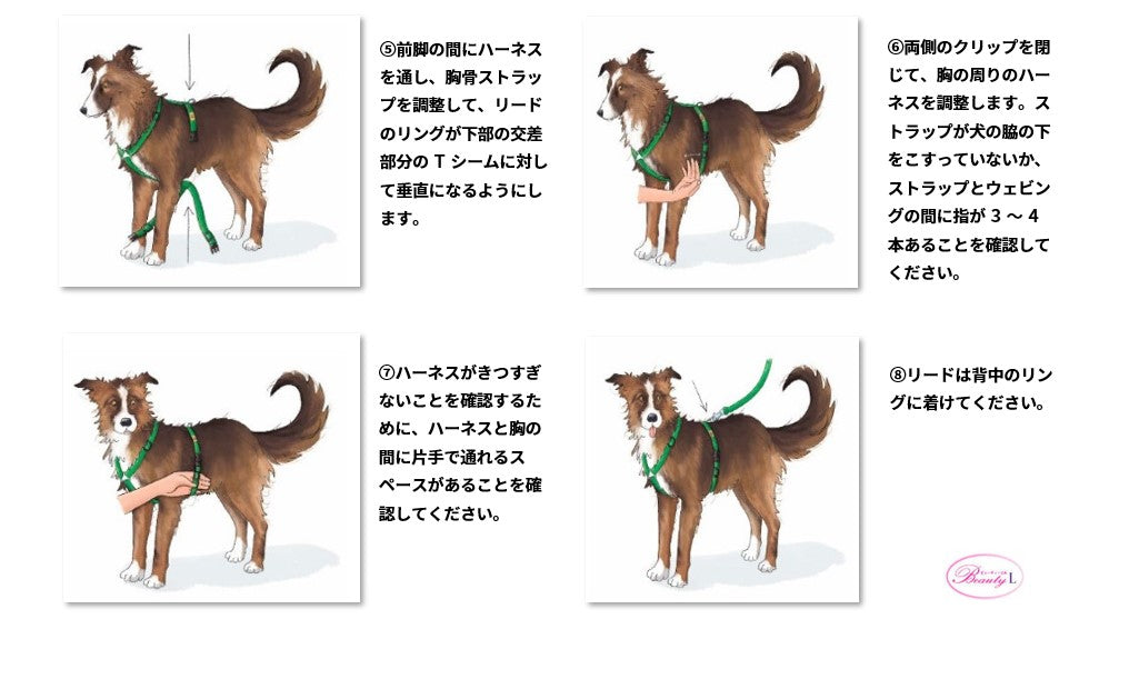 ハキハナ社製ハーネス【H】【SLサイズ】イタリア製 愛犬 犬用 軽量 胴輪 5年保証【全国送料200円】【アキアーナハーネス】